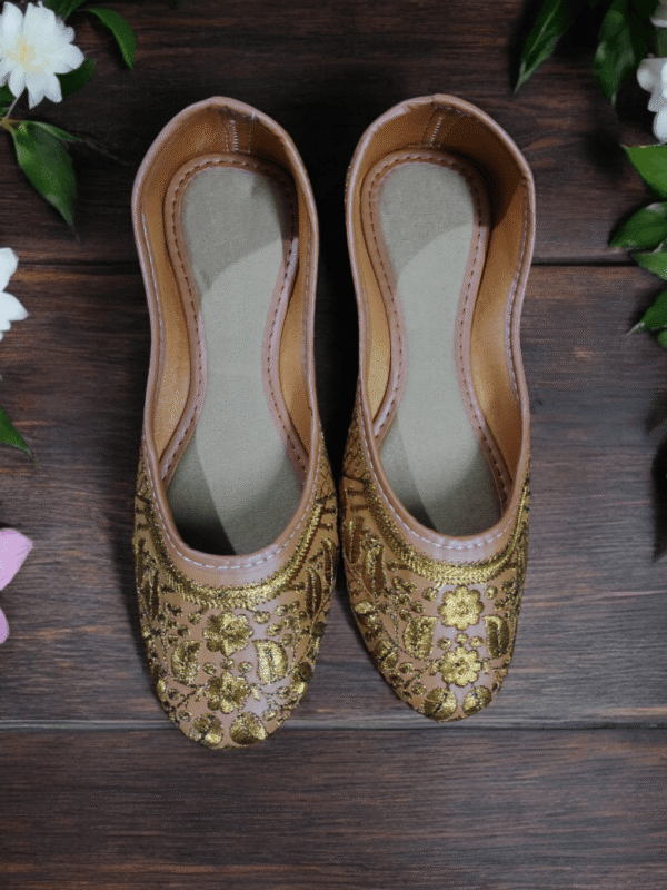 Elegant Embroidered Beige Jutti