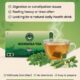 Premium Moringa Wellness Tea