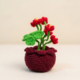 1777816635189 Ruby Bloom Crochet Flower Pot