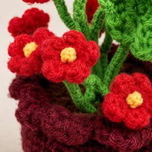 01PB004_3 Ruby Bloom Crochet Flower Pot